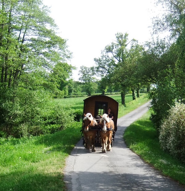 location roulotte avec cheval