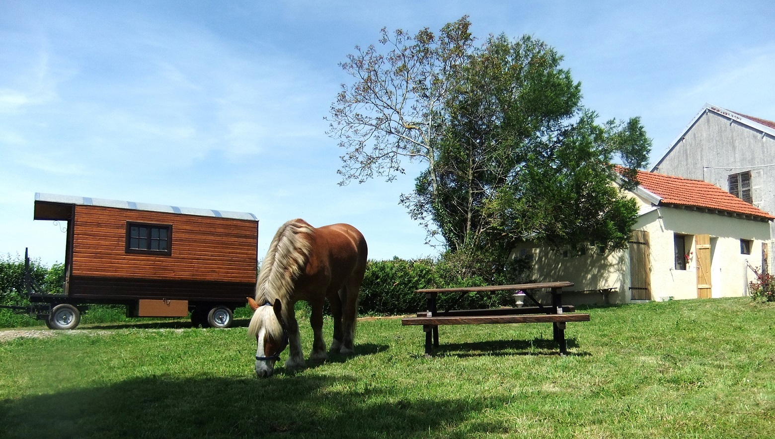 location roulotte avec cheval