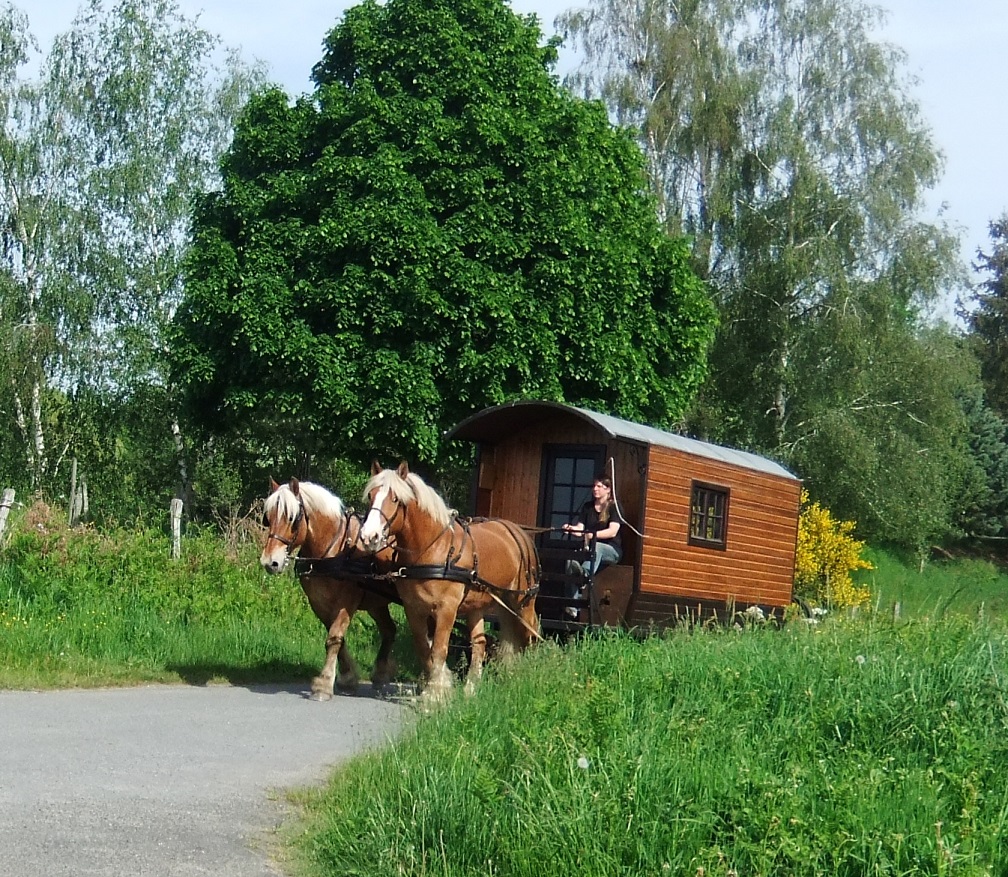 vacances en roulotte avec cheval