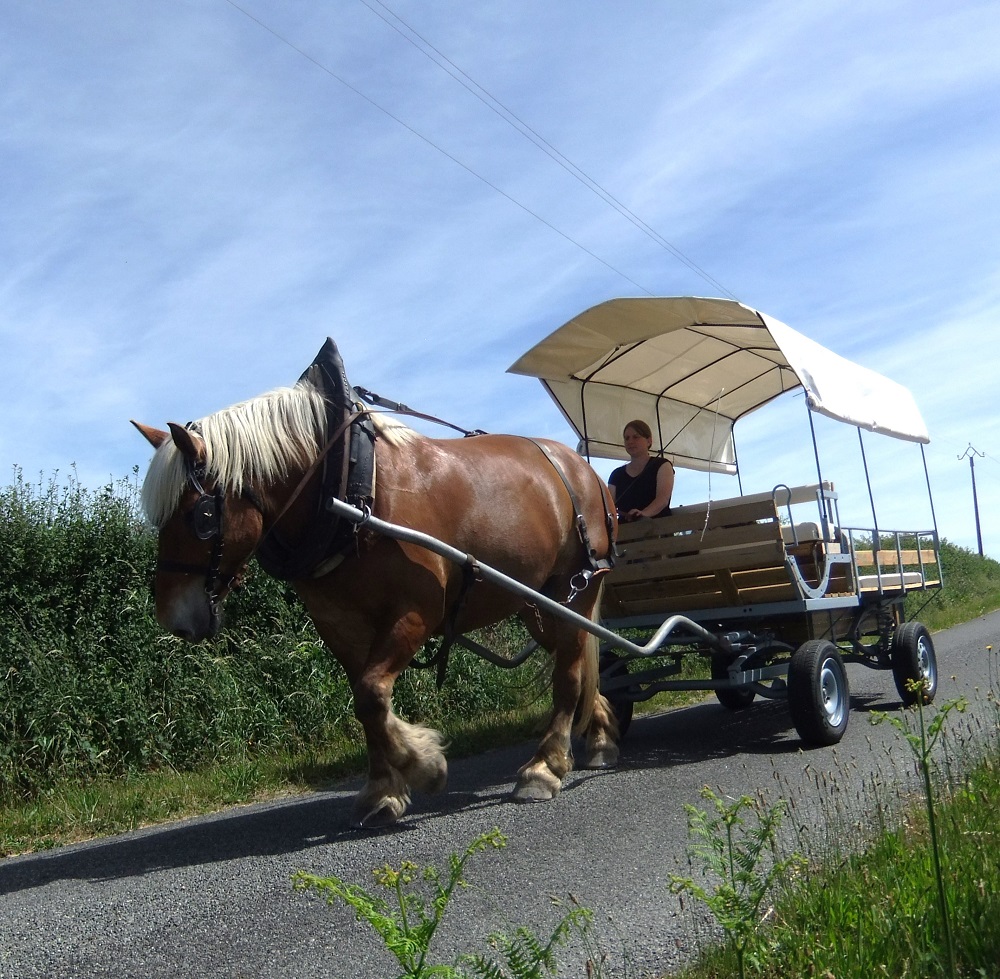 roulotte-vacances-cheval