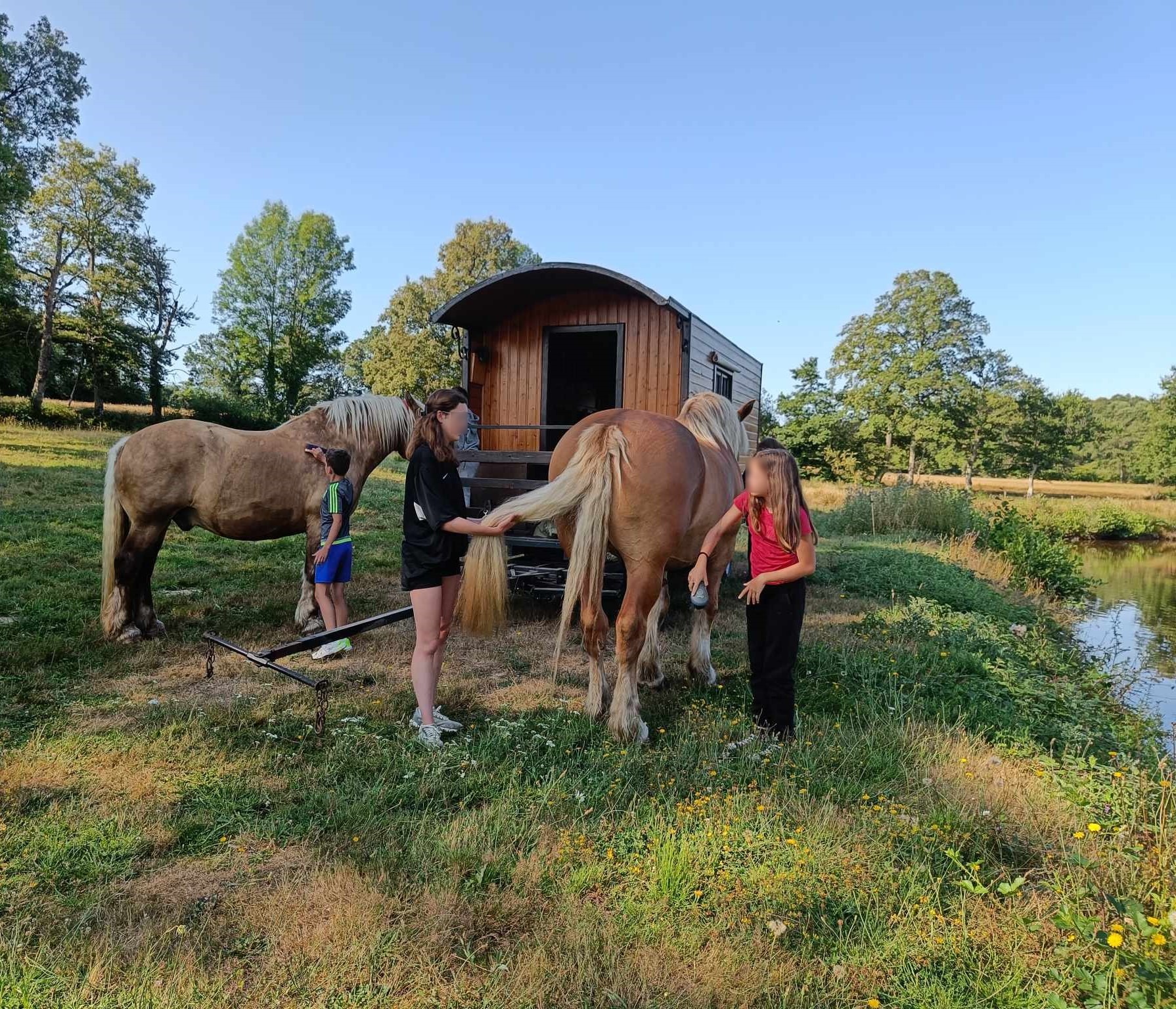 vacances-roulotte-cheval-location