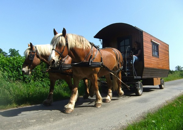 passez vos vacances en roulotte avec cheval